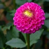 DSCF6050