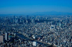 スカイツリーにて