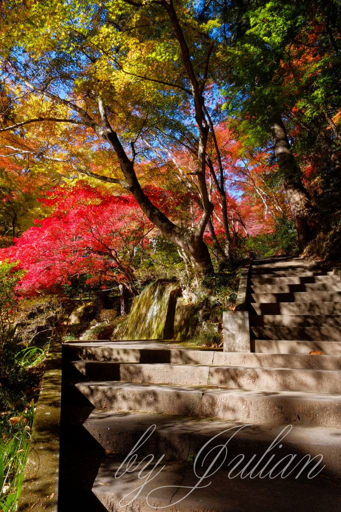 東郷公園 秩父御嶽神社