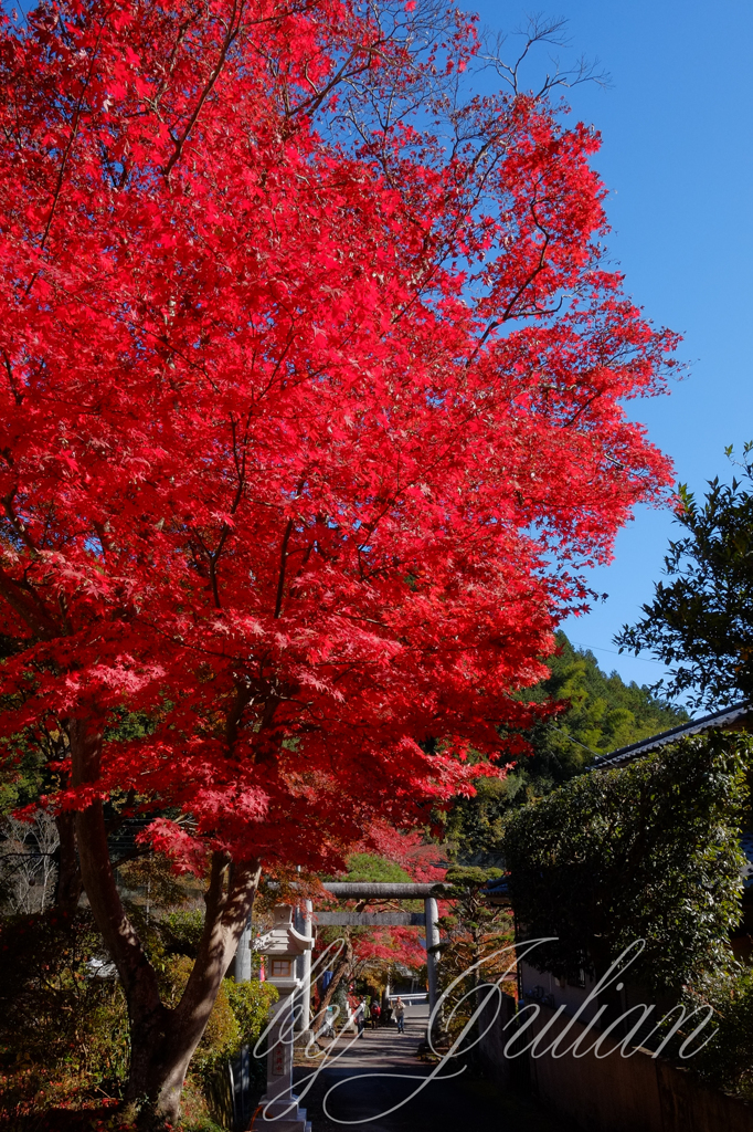 東郷公園 秩父御嶽神社