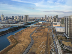 臨海副都心にて