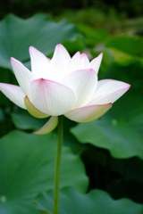 DSCF5897