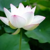 DSCF5897