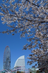 R0012705-2