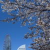 R0012705-2