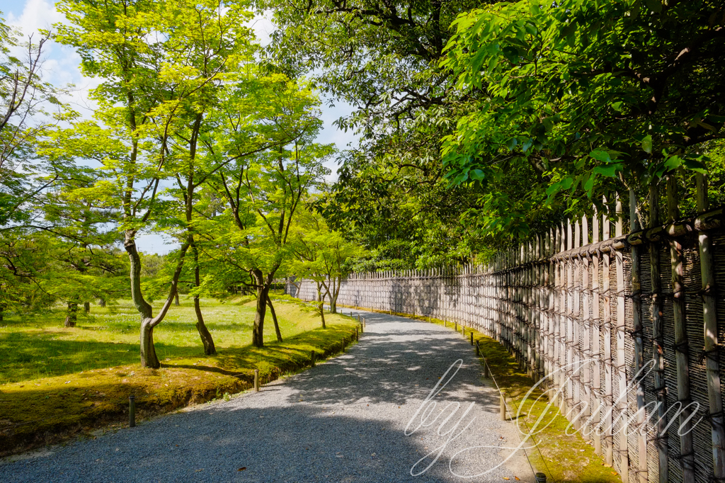 桂離宮にて