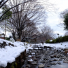 雪の神田川