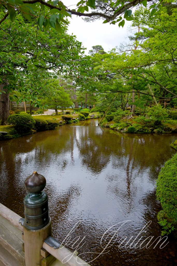 兼六園にて