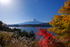 紅葉と富士山