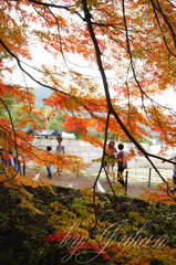 Fuji in Autumn