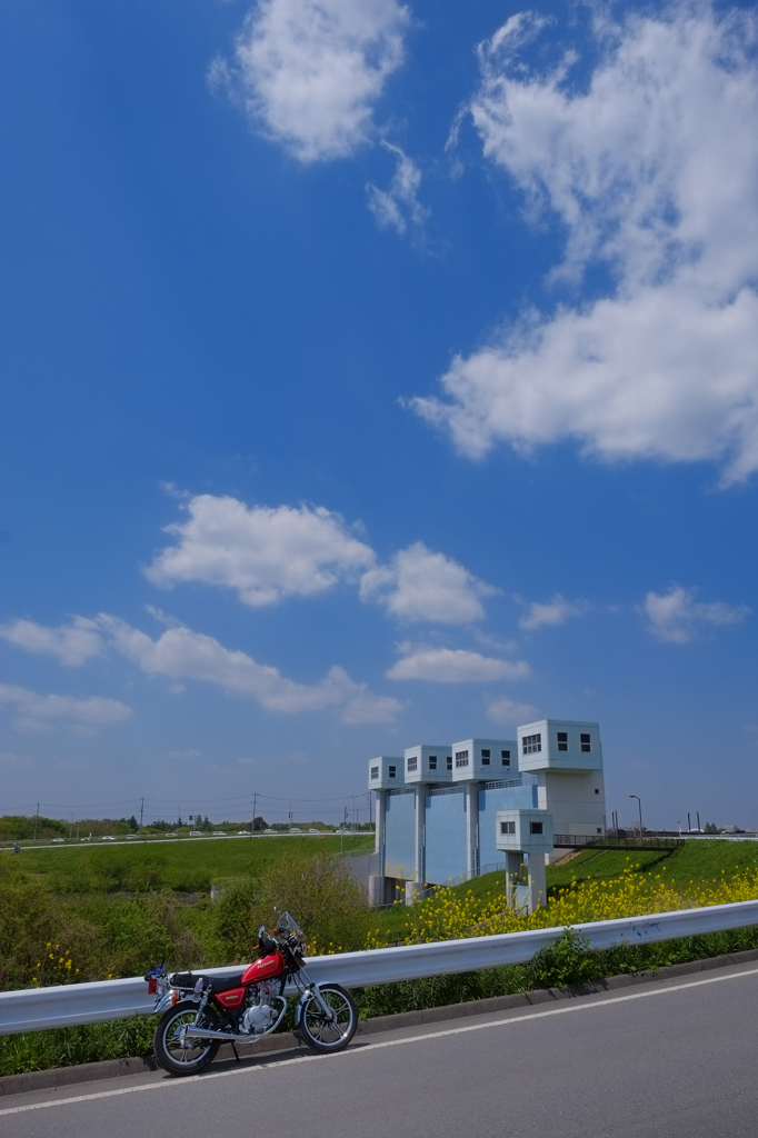 荒川の昭和水門にて