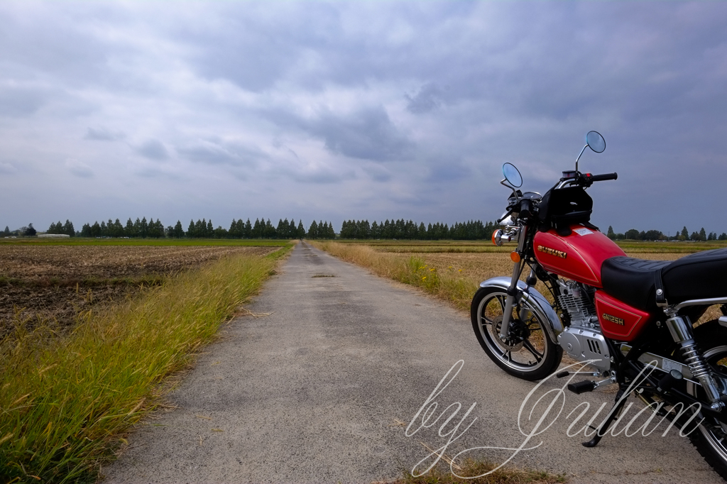 GN125H