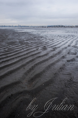 ふなばし三番瀬海浜公園