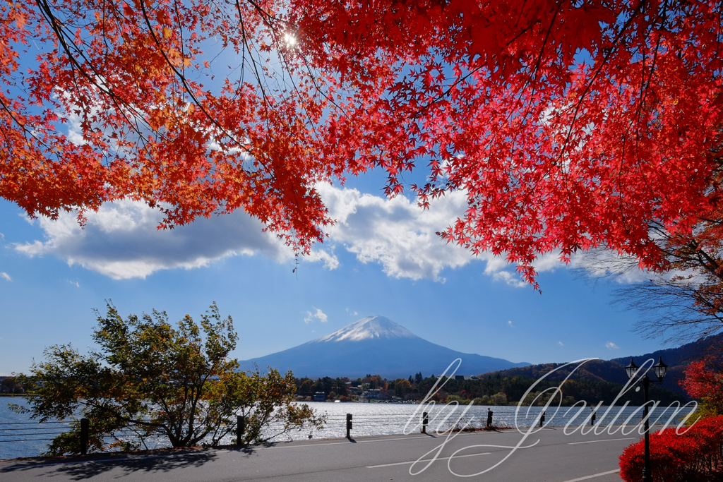 富士山と紅葉