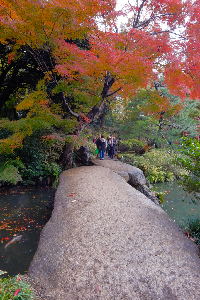 六義園の紅葉