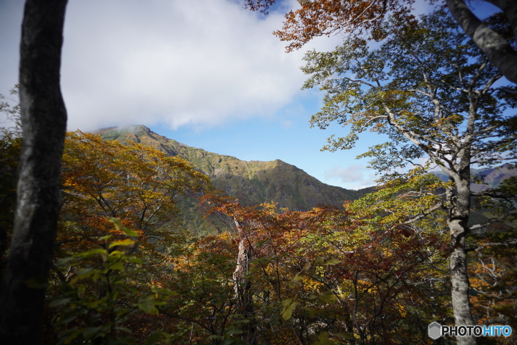 谷川岳