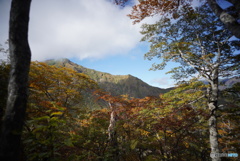 谷川岳