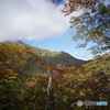 谷川岳