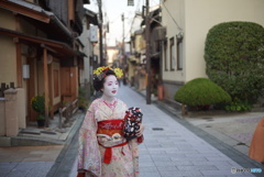 リアル舞妓さん✨