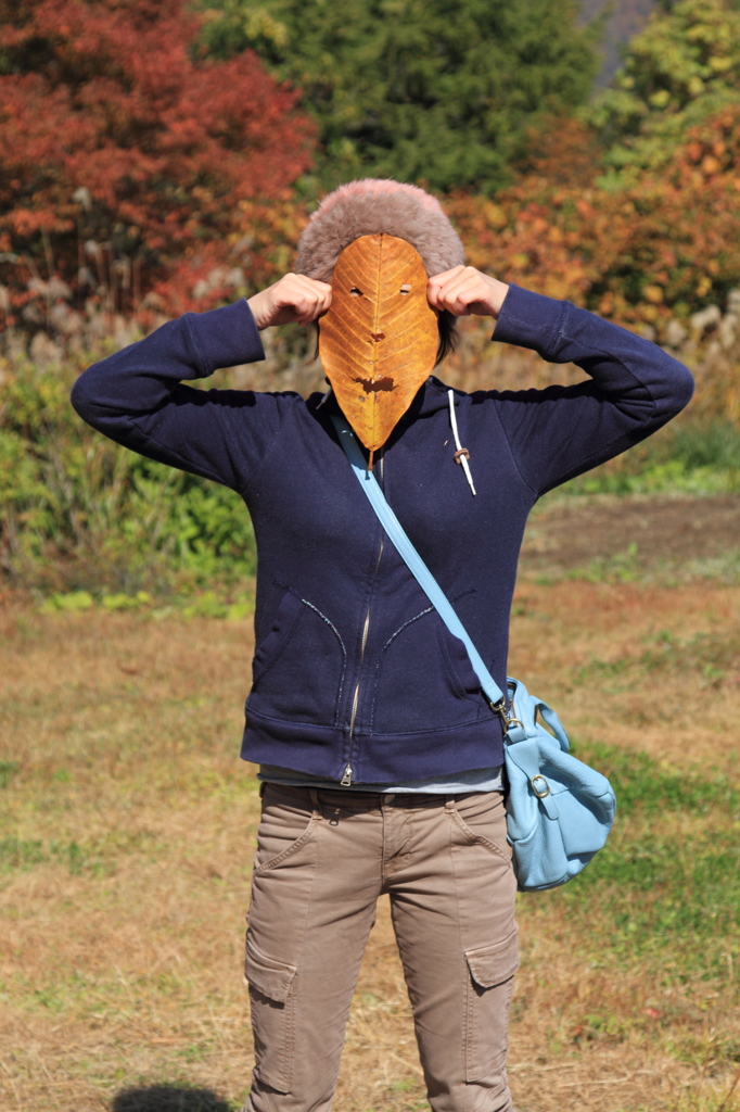 秋見ぃつけた