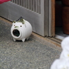 玄関先の蚊取り豚