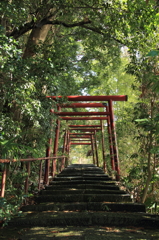 鳥居をくぐると・・・