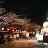 茶屋と夜桜