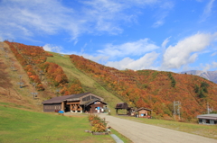 紅葉の八方尾根・兎平