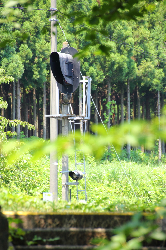 ローカル線の信号機