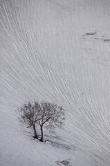雪解けのしるし