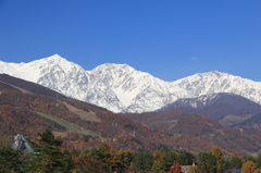 三段紅葉