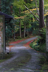 奥の屋敷へ続く道