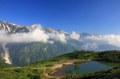 真夏の八方池と白馬三山