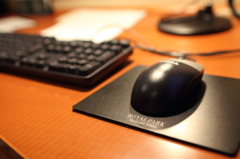mouse