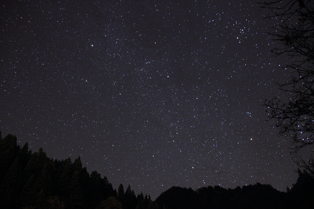 冬の晴れ間に見えた星空