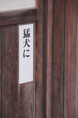 猛犬に・・・？