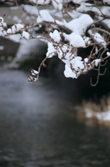 雪の華２