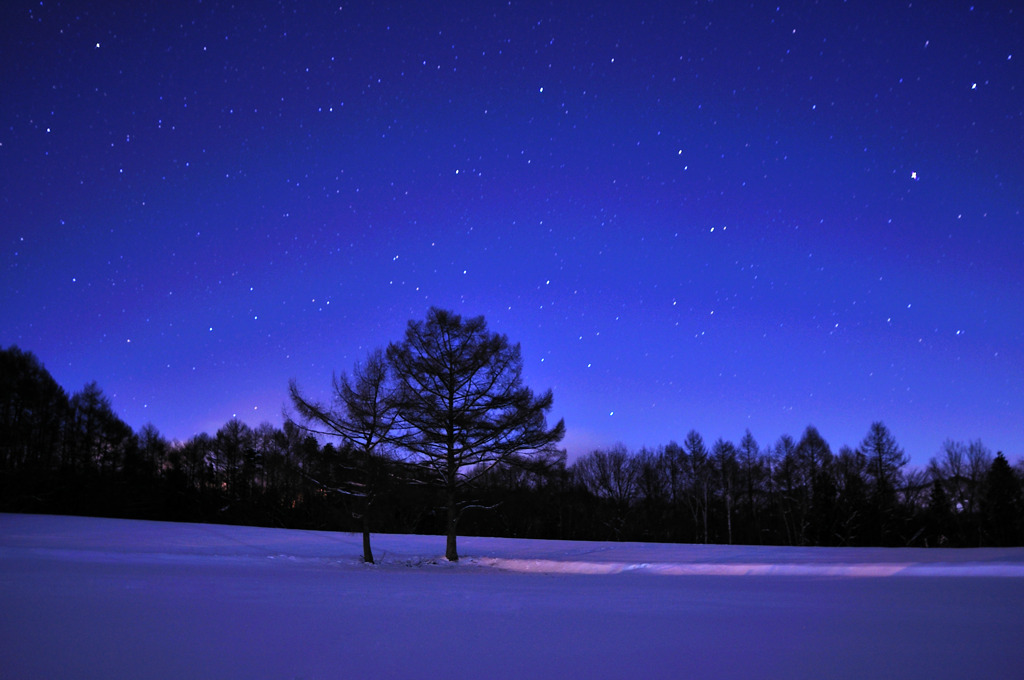 星空のピンクロード By アガサ Id 1041996 写真共有サイト Photohito