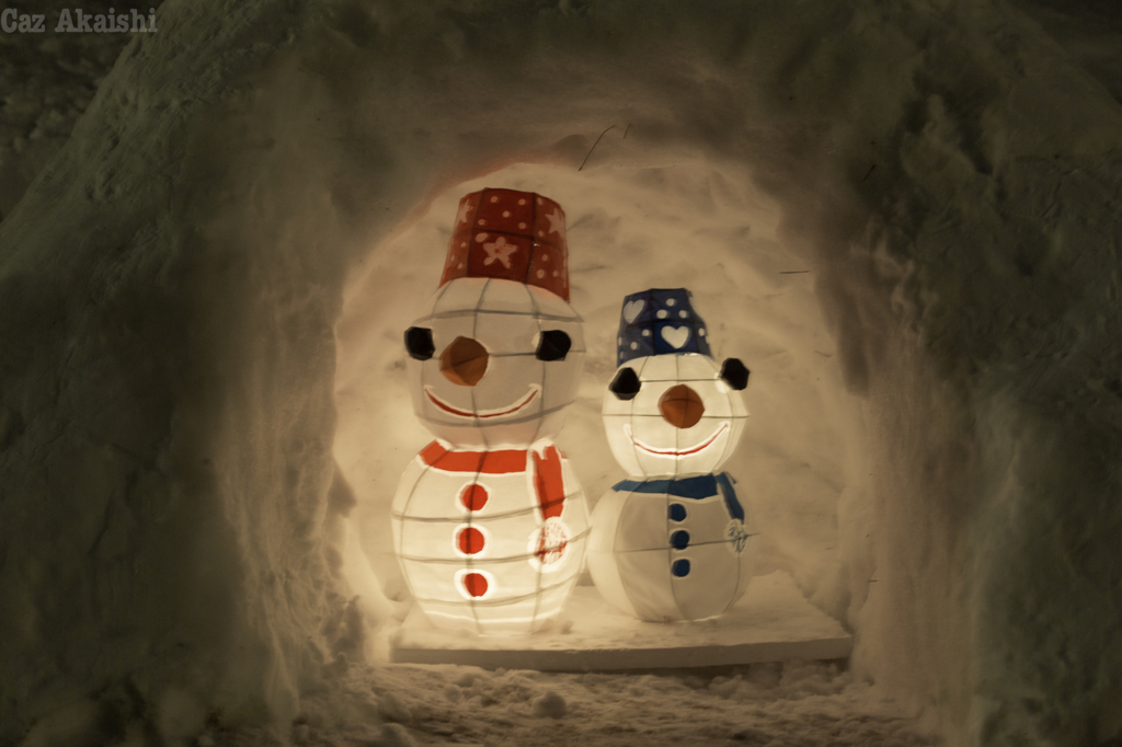 弘前市雪灯籠祭りその３