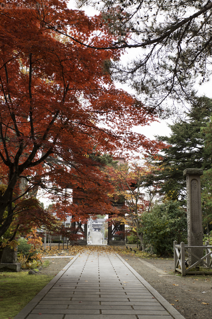 弘前市宗徳寺もみじその３