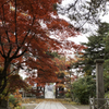 弘前市宗徳寺もみじその３