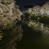 弘前城夜桜その５
