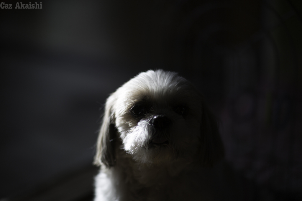 A serious Tamasaburo.