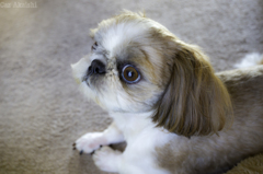 Bon What are we looking for？