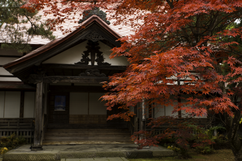 弘前市宗徳寺もみじその２