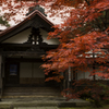 弘前市宗徳寺もみじその２
