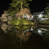 弘前城夜桜その６