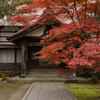 弘前市宗徳寺もみじ