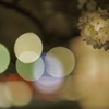 弘前城夜桜その７