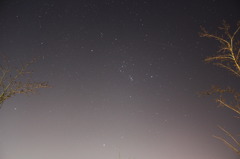 VSふたご座流星群